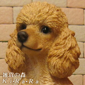 ̒u v[h B^Cv [WTCY   IuWF A hbO `[t ѕ  I[ig K[fjO g JtF CeA x_A[g