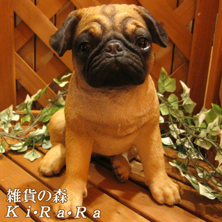 楽天市場 犬の置物 パグ 成犬 お座りラージサイズ ワンちゃん いぬ オブジェ リアル ドッグ モチーフ 毛並み こだわり オーナメント ガーデニング 愛嬌 カフェ インテリア ベランダアート 雑貨の森 Ki Ra Ra 楽天市場 犬の置物 パグ 成犬 お座りラージサイズ ワンちゃん いぬ オブジェ リアル ドッグ モチーフ 毛並み こだわり オーナメント ガーデニング 愛嬌 カフェ インテリア ベランダアート 雑貨の森 Ki Ra Ra