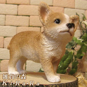 ̒u ` X^h X[TCY   IuWF A hbO `[t ѕ  I[ig K[fjO g JtF CeA x_A[g