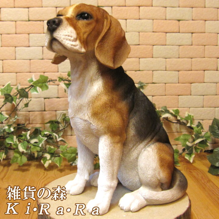 楽天市場】犬の置物 ビーグル お座りラージサイズ ワンちゃん いぬ 
