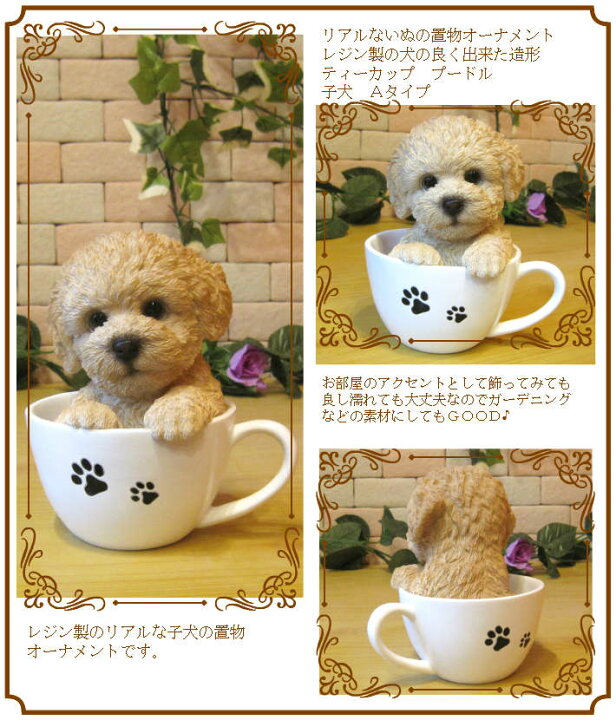 楽天市場 犬の置物 プードル ティーカップドッグ ａタイプ ワンちゃん いぬ オブジェ リアル ドッグ モチーフ 毛並み こだわり オーナメント ガーデニング 愛嬌 カフェ インテリア ベランダアート 雑貨の森 Ki Ra Ra