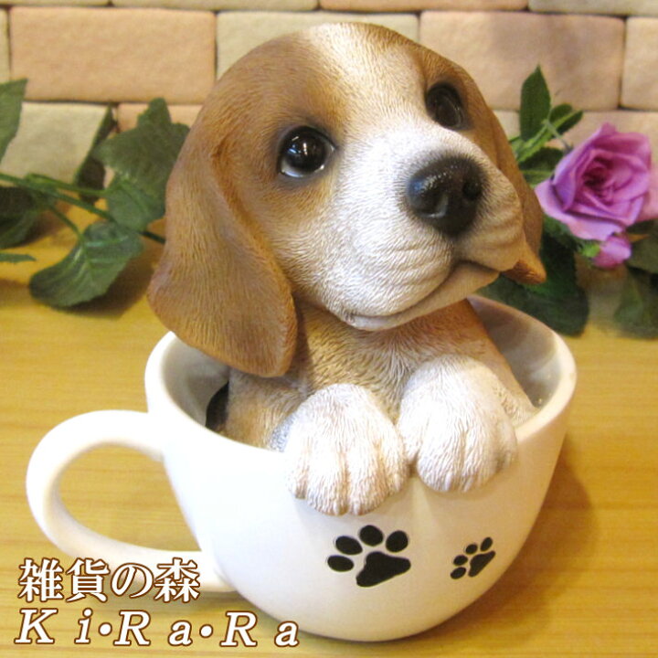 楽天市場】犬の置物 ビーグル ティーカップドッグ Aタイプ ワンちゃん 