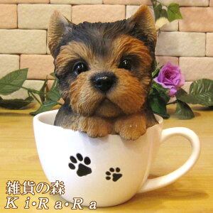 ̒u [NV[eA eB[JbvhbO A^Cv   IuWF A hbO `[t ѕ  I[ig K[fjO g JtF CeA x_