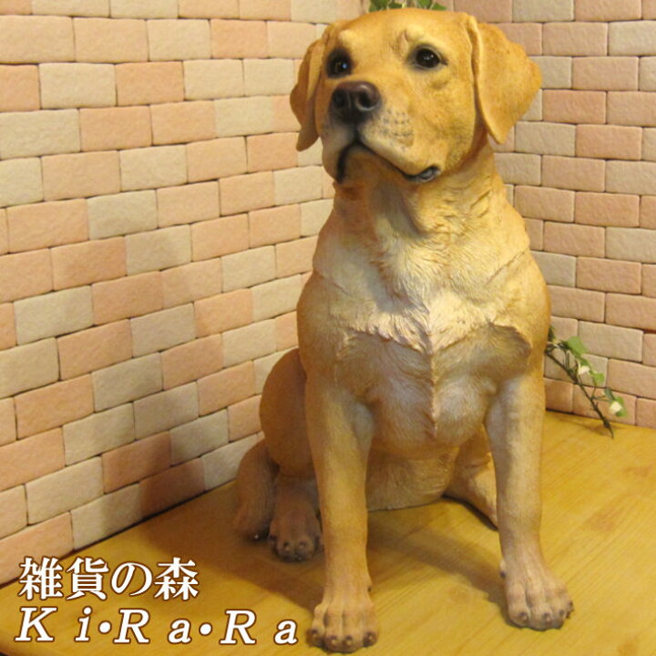 楽天市場 犬の置物 ラブラドールレトリバー お座り ビッグサイズ ワンちゃん いぬ オブジェ リアル ドッグ モチーフ 毛並み こだわり オーナメント ガーデニング 愛嬌 カフェ インテリア ベランダアート 雑貨の森 Ki Ra Ra