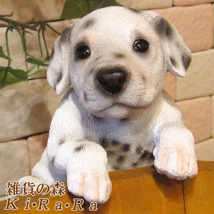 楽天市場】犬の置物 ダルメシアン ぶらさがりドッグ ワンちゃん いぬ 