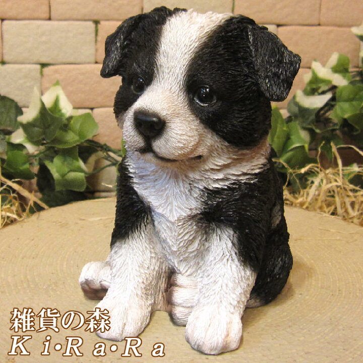 楽天市場】犬の置物 ボーダーコリー お座り ワンちゃん いぬ オブジェ 