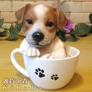 ̒u WbNbZeA eB[JbvhbO A^Cv@   IuWF A hbO `[t ѕ  I[ig K[fjO g JtF CeA x