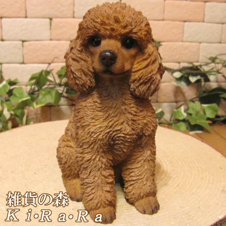 楽天市場 犬の置物 プードルｂタイプ お座り ワンちゃん いぬ オブジェ リアル ドッグ モチーフ 毛並み こだわり オーナメント ガーデニング 愛嬌 カフェ インテリア ベランダアート 雑貨の森 Ki Ra Ra