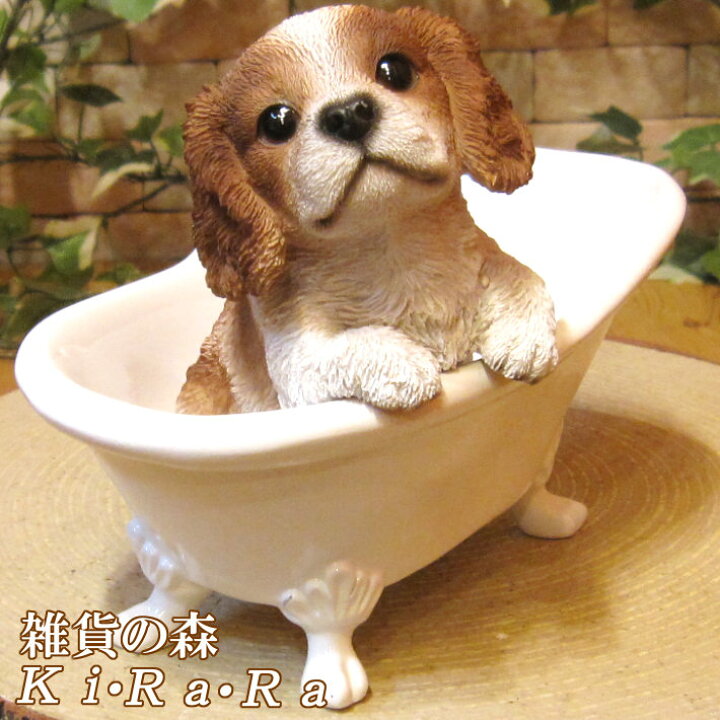 楽天市場】犬の置物 キャバリア バスタブドッグ ワンちゃん いぬ 