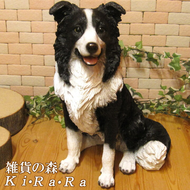 楽天市場】犬の置物 ボーダーコリー お座りタイプ ビッグサイズ ワン 