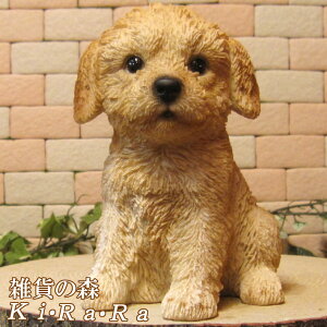 ���̒u�� �v�[�h�� A�^�C�v ������ ��������� ���� �I�u�W�F ���A�� �h�b�O ���`�[�t �ѕ��� ������� �I�[�i�����g �K�[�f�j���O ���g �J�t�F �C���e���A �x�����_�A�[�g