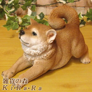 ̒u Č ̂т̂ ΂ʁ@A^Cv VoCk ΂   IuWF A hbO `[t ѕ  I[ig K[fjO g JtF CeA x