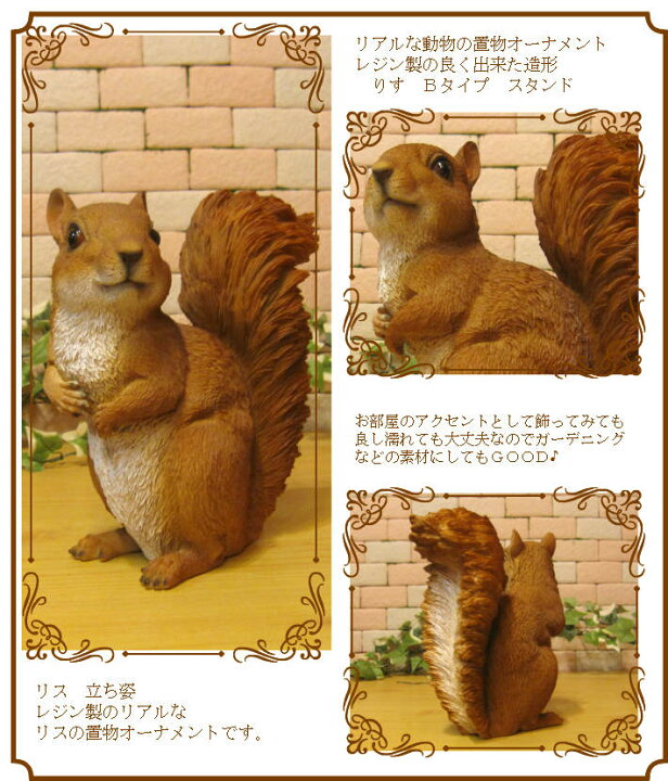 楽天市場 りす 置物 動物オーナメント リアルな リス ｂタイプ スタンド ガーデン オブジェ フィギュア ガーデニング 陶器 インテリア 玄関先 庭 雑貨 アニマルグッズ 動物モチーフ 雑貨の森 Ki Ra Ra