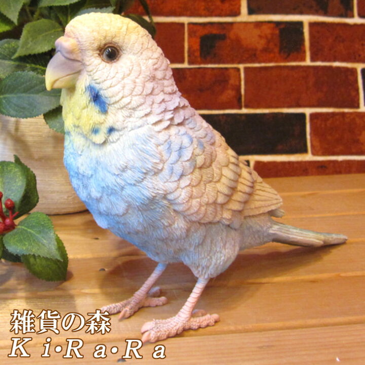 楽天市場】鳥の置物◇セキセイインコ・ブルー 大◇動物オーナメント 