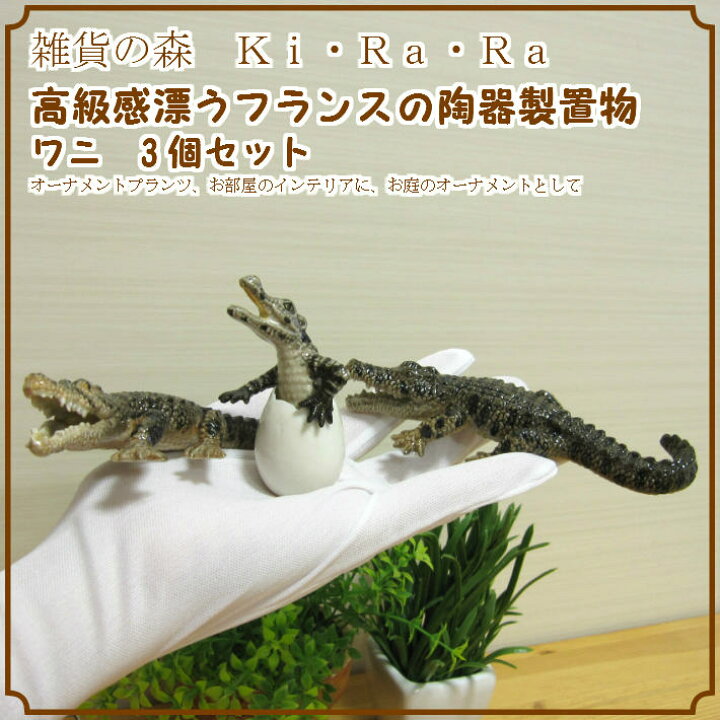 楽天市場】◇ワニ 陶器置物 3点セット◇リアルな動物のオブジェ 