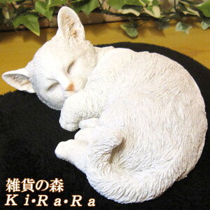 L@u@X[sOxr[Lbg@VlR A@˂@lR@Lbg@AȔL̒u@IuWF@K[fI[ig@@tBMA@`[t@CeA@