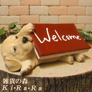 ̒u uh[go[ EGJubN   IuWF A hbO `[t ѕ  I[ig K[fjO g JtF CeA x_A[g
