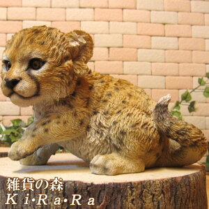 Aȓ̒u@xr[`[^[  I[ig ̒u K[f IuWF tBMA K[fjO CeA ֐  G Aj}ObY `[t