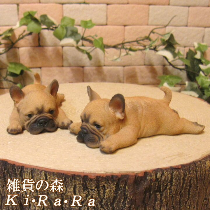 楽天市場 犬の置物 マルチマグネットドッグ ２個セット フレンチブルドッグ フレブル いぬ オブジェ リアル イヌ モチーフ 毛並み こだわり オーナメント ガーデニング 愛嬌 カフェ インテリア ベランダアート 雑貨の森 Ki Ra Ra