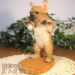 ̒u t`uhbO }`z_[@hbO@tHgt[@LO@  IuWF A hbO `[t ѕ  I[ig K[fjO g JtF