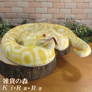 wr̒u@jVLwr@rbOTCY@AȎց@ւс@঒ށ@N@IuWF@K[fI[ig@@tBMA@`[t@CeA@֐@@G