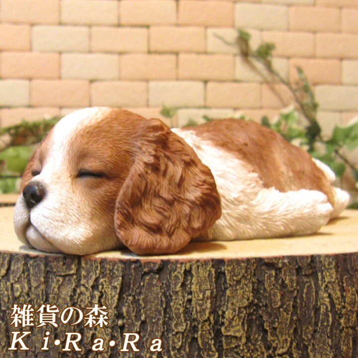 楽天市場】犬の置物 キャバリア まったりドッグ ワンちゃん いぬ 
