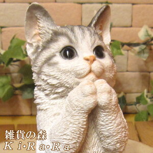 L@u A@˂@lR@Lbg@AȔL̒u@肢Lbg1@zCgO[@IuWF@K[fI[ig@@tBMA@`[t@CeA@