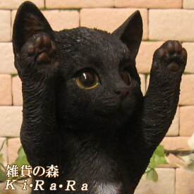 楽天市場 黒猫 花 ガーデン Diy の通販
