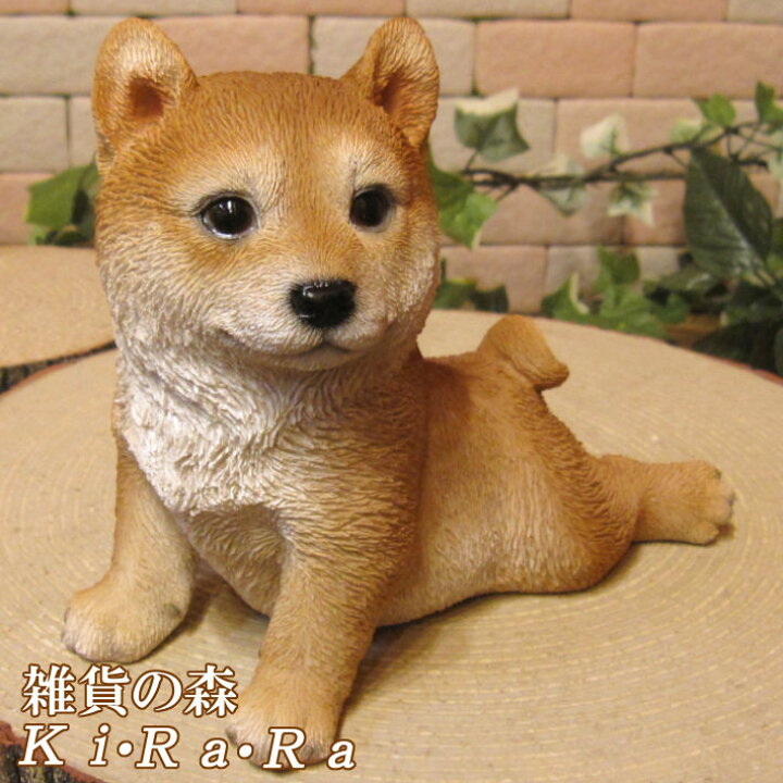 楽天市場】犬の置物 柴犬 休憩中！ 日本犬 しばけん ワンちゃん いぬ 