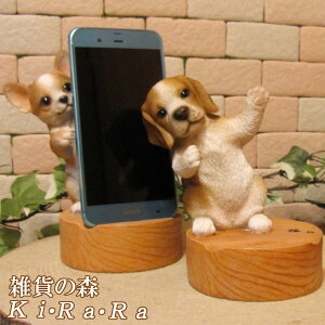 ̒u r[O X}zX^hhbO@B^Cv X}zz_[@  IuWF A hbO `[t ѕ  I[ig K[fjO g JtF CeA