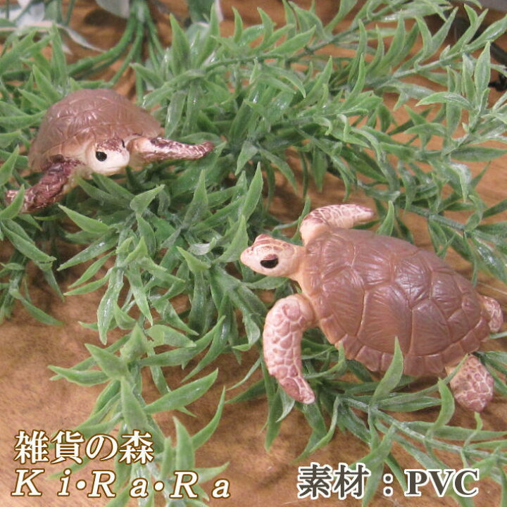 楽天市場】カメの置物 ウミガメ 2点セット リアルな 亀 海亀爬虫類 