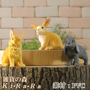 ̒u@rbg@3_Zbg@Aȁ@ETM@IuWF@I[ig@@~j`A@h[@tBMA@`[t@CeA