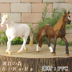 E}̒u@n@C^Cv@2Zbg@Aȁ@܁@x@@IuWF@I[ig@@~j`A@h[@tBMA@`[t@CeA