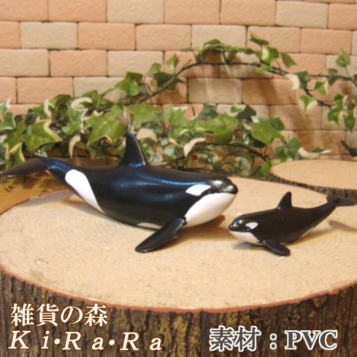 楽天市場 シャチの置物 鯱の親子 ２点セット リアルな しゃち アニマル 動物オブジェ オーナメント 装飾 ミニチュア ドール フィギュア モチーフ インテリア 雑貨の森 Ki Ra Ra
