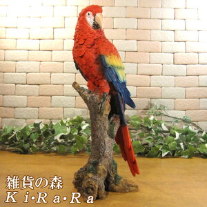 ̒u@AJRSECR@Ƃ@IuWF@g@K[fjO@@X܁@JE^[@@fRjN@@x_A[g@I[ig@AȒ̒u@K[f