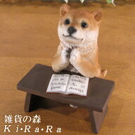 犬の置物 柴犬 勉強中！お願い 日本犬　しばけん ワンちゃん いぬ オブジェ リアル ドッグ モチーフ 毛並…