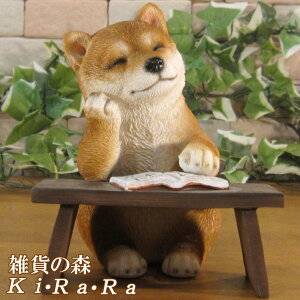 ̒u Č ׋I {@΂   IuWF A hbO `[t ѕ  I[ig K[fjO g JtF CeA x_A[g
