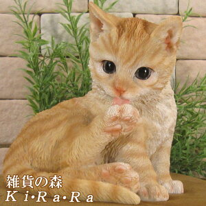 L@u A@˂@lR@Lbg@AȔL̒u@Lbg@тÂ낢@`g@IuWF@K[fI[ig@@tBMA@`[t@CeA@֐