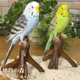 楽天市場】鳥の置物◇セキセイインコ・ブルー 大◇動物オーナメント 
