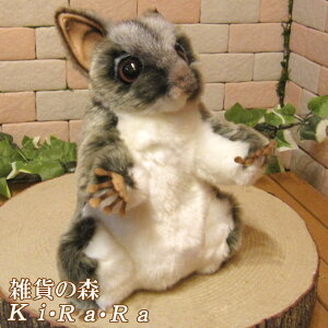 tNK@X^h^Cv@Aȓ̂ʂ݁@CeA@@u@IuWF@G݁@tBMA@Aj}@`[t@񂪁@ӂ