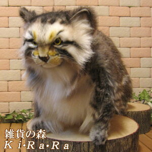 L@u@AȔL̂ʂ݁@}klR@Lbg@@Aj}@IuWF@G݁@tBMA@`[t@CeA@ց@@tt@ӂ