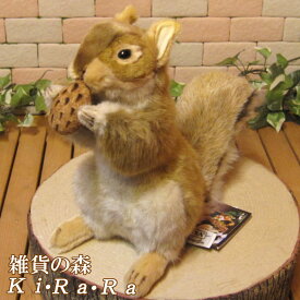 楽天市場 リスのぬいぐるみの通販
