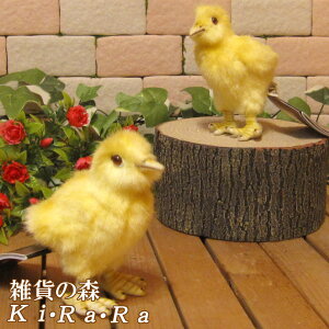 qR u AȒ̂ʂ Ђ悱@2HZbg CeA  u IuWF G tBMA Aj} g`[t  Ƃ o[h