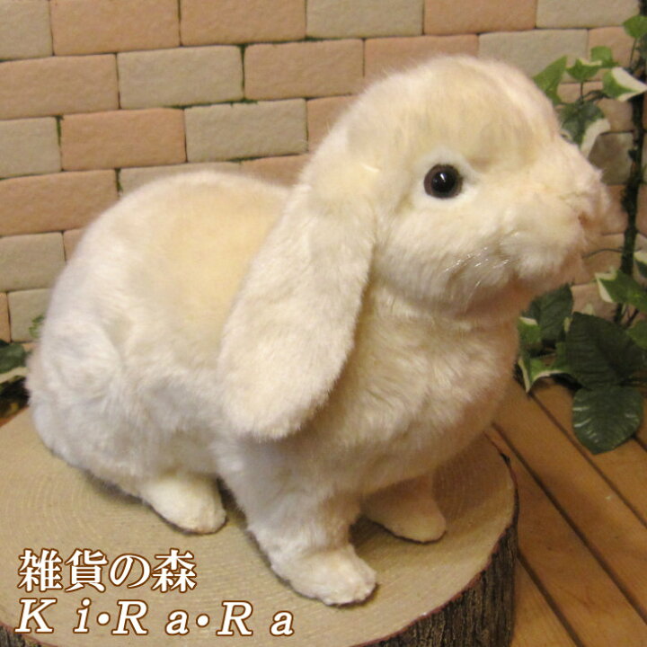 楽天市場 ウサギ 置物 リアルな うさぎのぬいぐるみ ロップイヤー ホワイト ラビット バニー 動物 アニマル オブジェ 雑貨 フィギュア モチーフ インテリア 玄関 癒し モフモフ もふもふ 雑貨の森 Ki Ra Ra