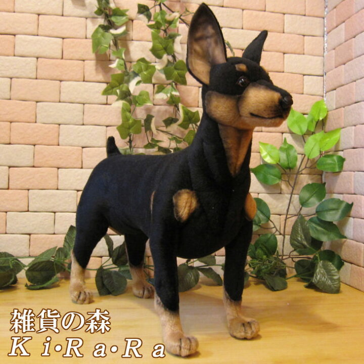 楽天市場】犬 置物 ピンシャー ビッグサイズ 大きくてリアルな犬の 