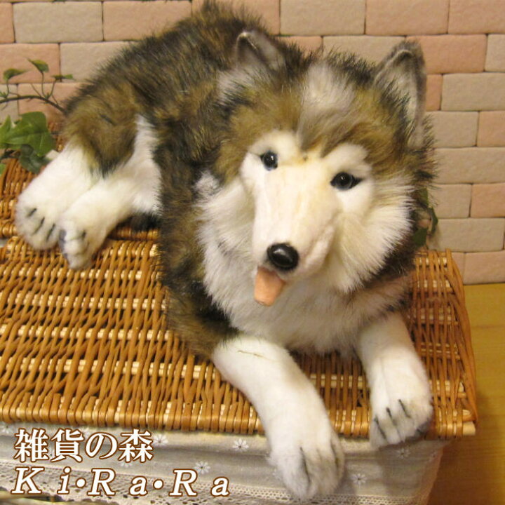 楽天市場 犬 置物 シベリアンハスキー ラージサイズ リアルな犬のぬいぐるみ いぬ イヌ ドッグ 動物 アニマル オブジェ 雑貨 フィギュア モチーフ インテリア 玄関 癒し モフモフ もふもふ 雑貨の森 Ki Ra Ra