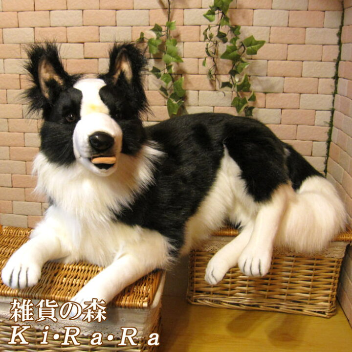 楽天市場 犬 置物 ボーダーコリー ビッグサイズ リアルな犬のぬいぐるみ いぬ イヌ ドッグ 動物 アニマル オブジェ 雑貨 フィギュア モチーフ インテリア 玄関 癒し モフモフ もふもふ 雑貨の森 Ki Ra Ra