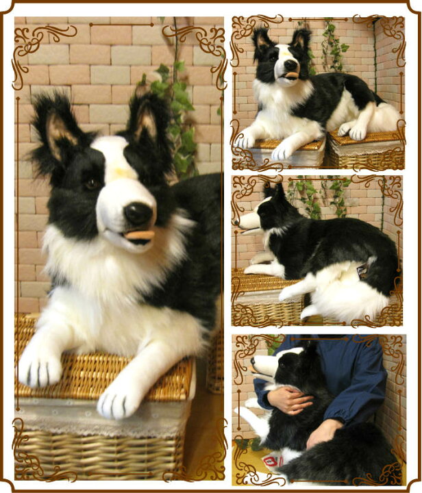 楽天市場 犬 置物 ボーダーコリー ビッグサイズ リアルな犬のぬいぐるみ いぬ イヌ ドッグ 動物 アニマル オブジェ 雑貨 フィギュア モチーフ インテリア 玄関 癒し モフモフ もふもふ 雑貨の森 Ki Ra Ra