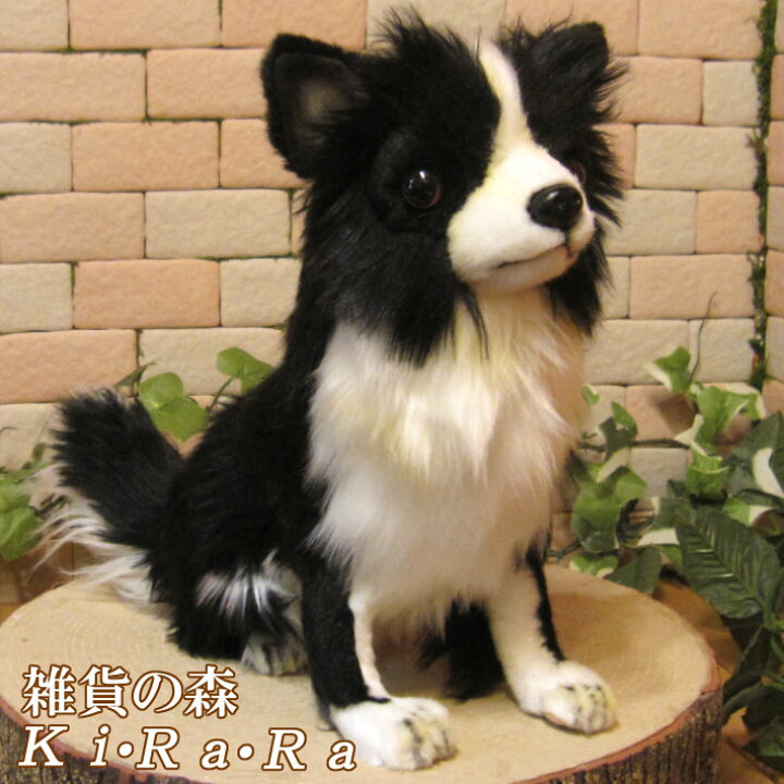 楽天市場 犬の置物 チワワ ブラック ホワイト リアルな犬のぬいぐるみ いぬ イヌ ドッグ 動物 アニマル オブジェ 雑貨 フィギュア モチーフ インテリア 玄関 癒し モフモフ もふもふ 雑貨の森 Ki Ra Ra