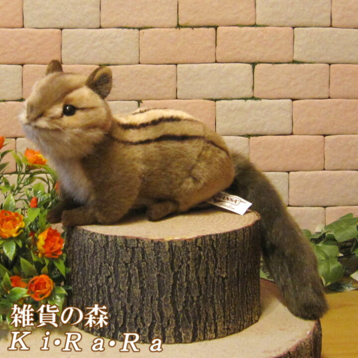 楽天市場 リスの置物 シマリス ａタイプ リアルな動物のぬいぐるみ インテリア 動物 置物 オブジェ 雑貨 フィギュア アニマル モチーフ リス 小動物 雑貨の森 Ki Ra Ra